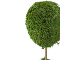 thumbnail image 4 of 14" Green Reindeer Moss Ball Potted Artificial Topiaries Spring Tree, 4 of 4