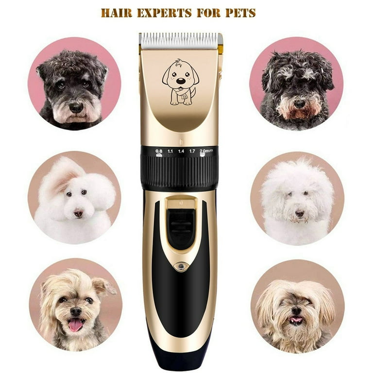 Clippers expert hair care for dogs 2025