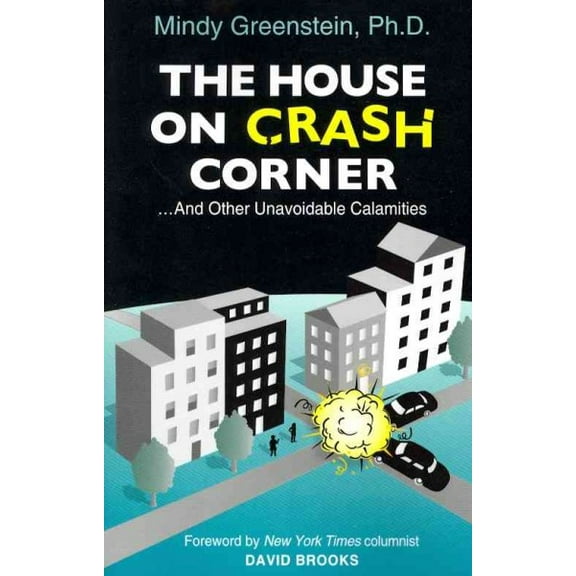The House on Crash Corner (Paperback)