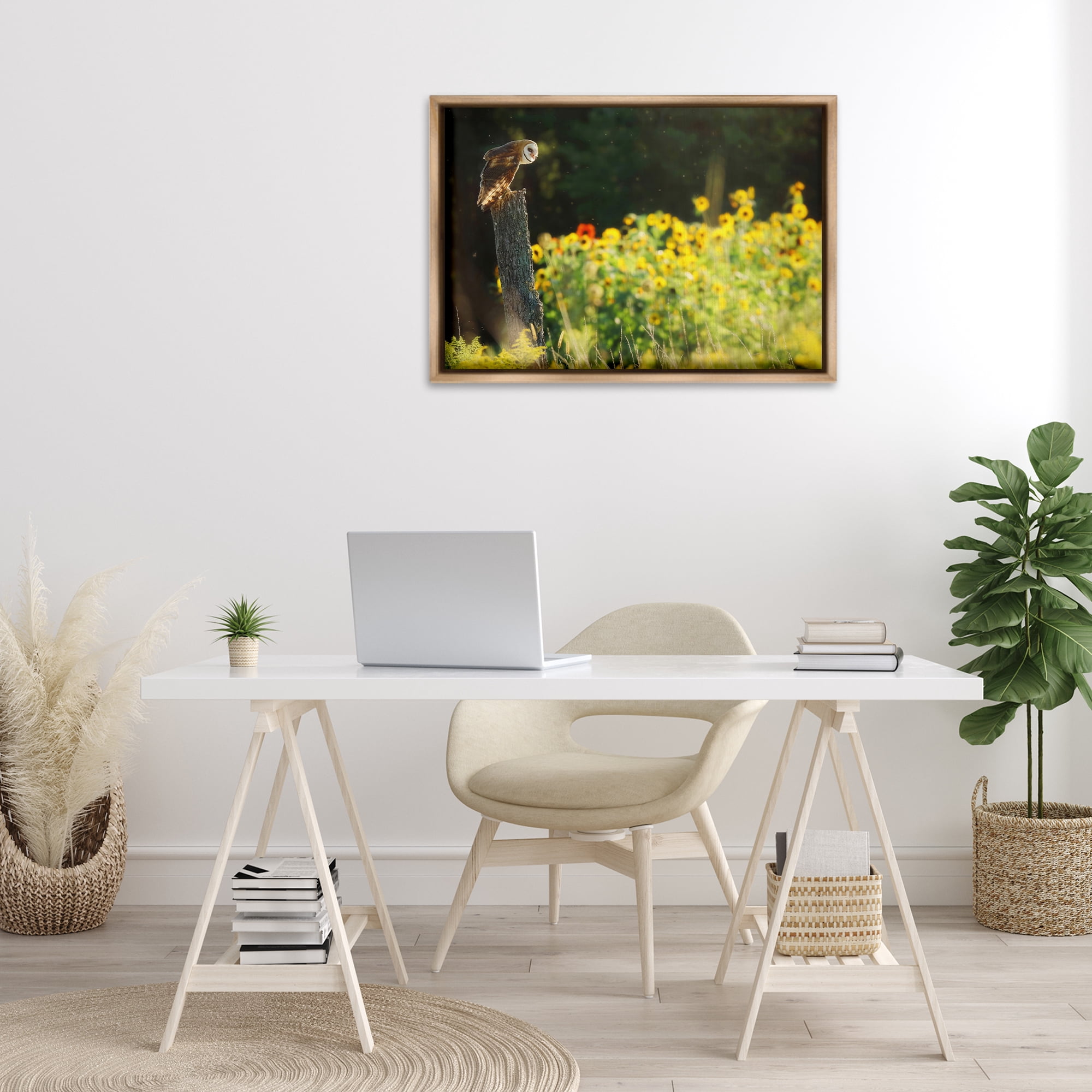 Stupell Industries Owl Perched in Meadow Landscape Photography Brown Floater Framed Canvas Art Print Wall Art, 31 x 21