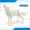 whiteB, variant on Iumwxz Simulation White Wolf Model Roaring Wolf Walking Wolf Cub Desktop Sand Table Decoration Ornaments Toys Christmas Gifts home decor christmas clearance outdoors indoor