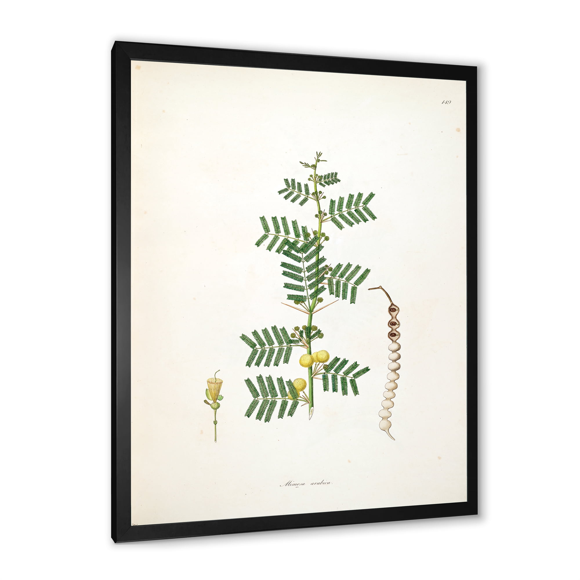 Designart 'Ancient Blossoming Flower III' Farmhouse Framed Art Print
