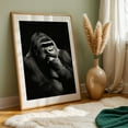 thumbnail image 6 of Gorilla - Photography Wildlife Black and White Animal Portrait Nature Moody Unframed Wall Art Print 32 x 48 inches, 6 of 60