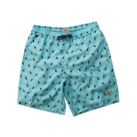 dry toucan boxer