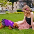 thumbnail image 6 of Pet Dress Cute Dog Dress Skirt Dog Princess Dress Soft Breathable Dog Clothes for Small Pets Dogs Puppy Cats Daily Wear, 6 of 8