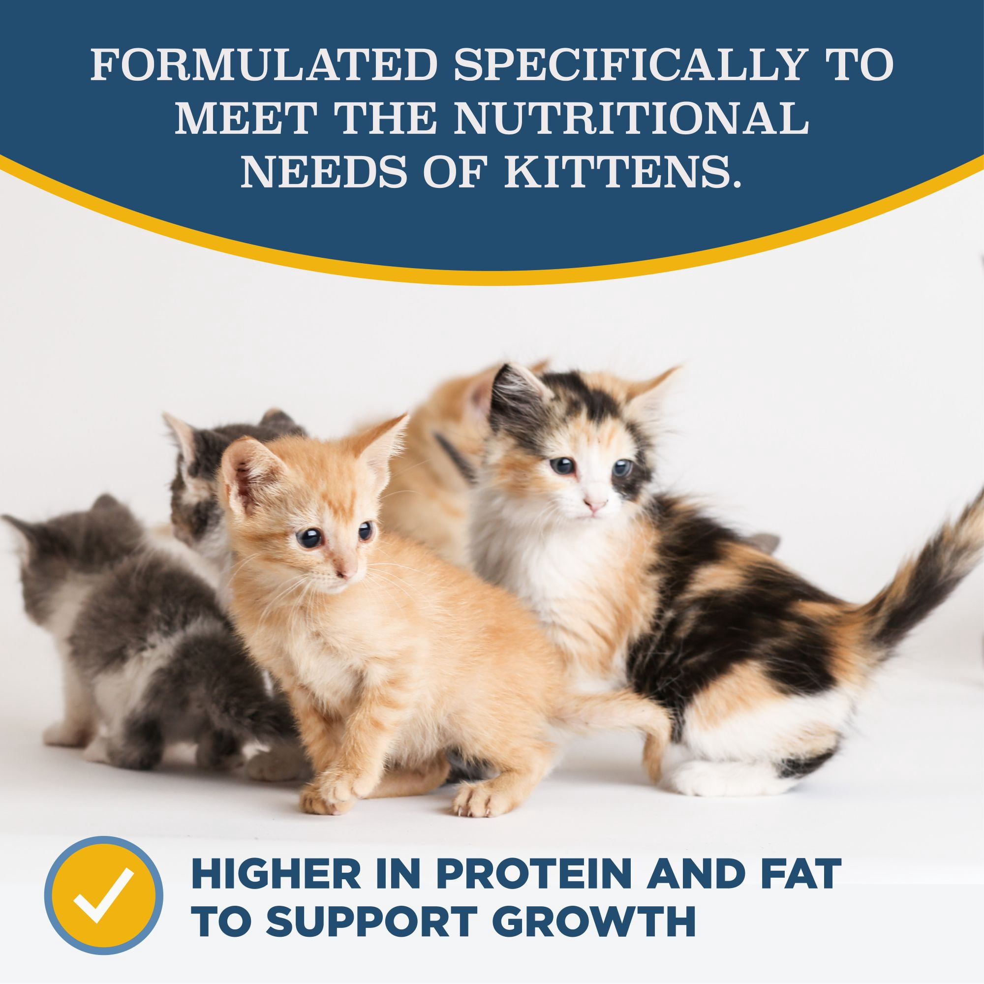 Blackwood Kitten Formula Chicken Meal & Brown Rice Recipe Dry Cat Food, 13.2 lb. Bag