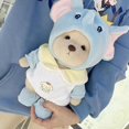 thumbnail image 5 of 30cm High Quality Handmade Bear Plush Toy Cosplay Change Dress Cloth Girl Hug Cuddly Plushie Doll for Girlfriend Christmas Gift, 5 of 5