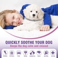 thumbnail image 4 of Tcllka Calming Collar for Dogs 4 Packs Dog Pheromone Calm Collars Relief Anxiety Stress Separation Lasts 60 Days, 4 of 7