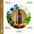 thumbnail image 4 of Acondicionador sin enjuague Artnaturals, aceite de argán, 355 ml, para todo el cabello, 4 of 7