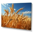 thumbnail image 2 of Designart "Harvesting Gold in Canada I" Farmhouse Wall Art Print, 2 of 5