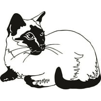 Do It Yourself Wall Decal Sticker Cat Design Animal Kids Boys Girls Bed Room 10x20"