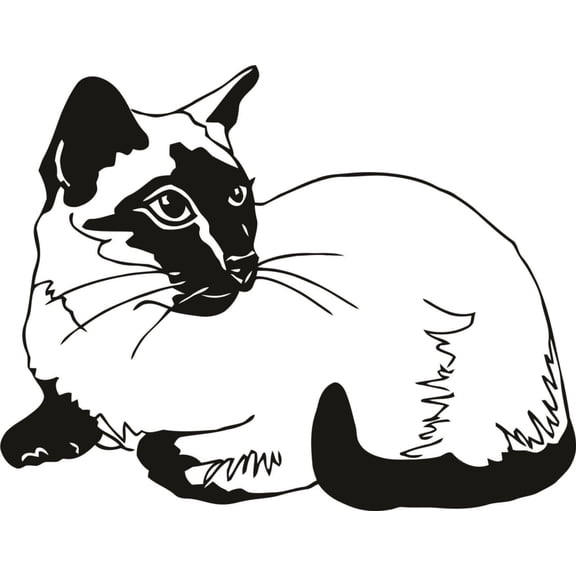 Do It Yourself Wall Decal Sticker Cat Design Animal Kids Boys Girls Bed Room 10x20"