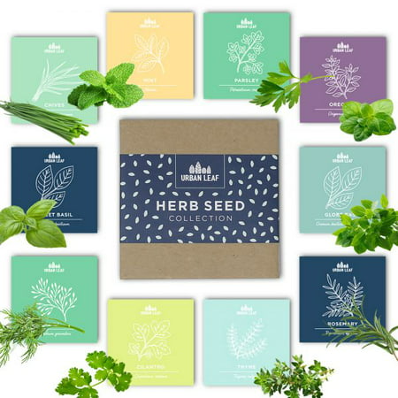 Herb Garden Seeds Kit for Planting | Non GMO | 10 Herb Seed Packets for Gardening incl Basil Mint Cilantro Chives | Indoor Herb Gardening Starter Seeds (Best Way To Germinate Basil Seeds)