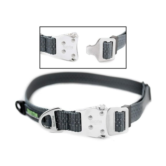 Mighty Paw Metal Buckle Dog Collar, All Metal Hardware, Lightweight Collar, Reflective Stitching, Strong, Durable (Medium, Grey)