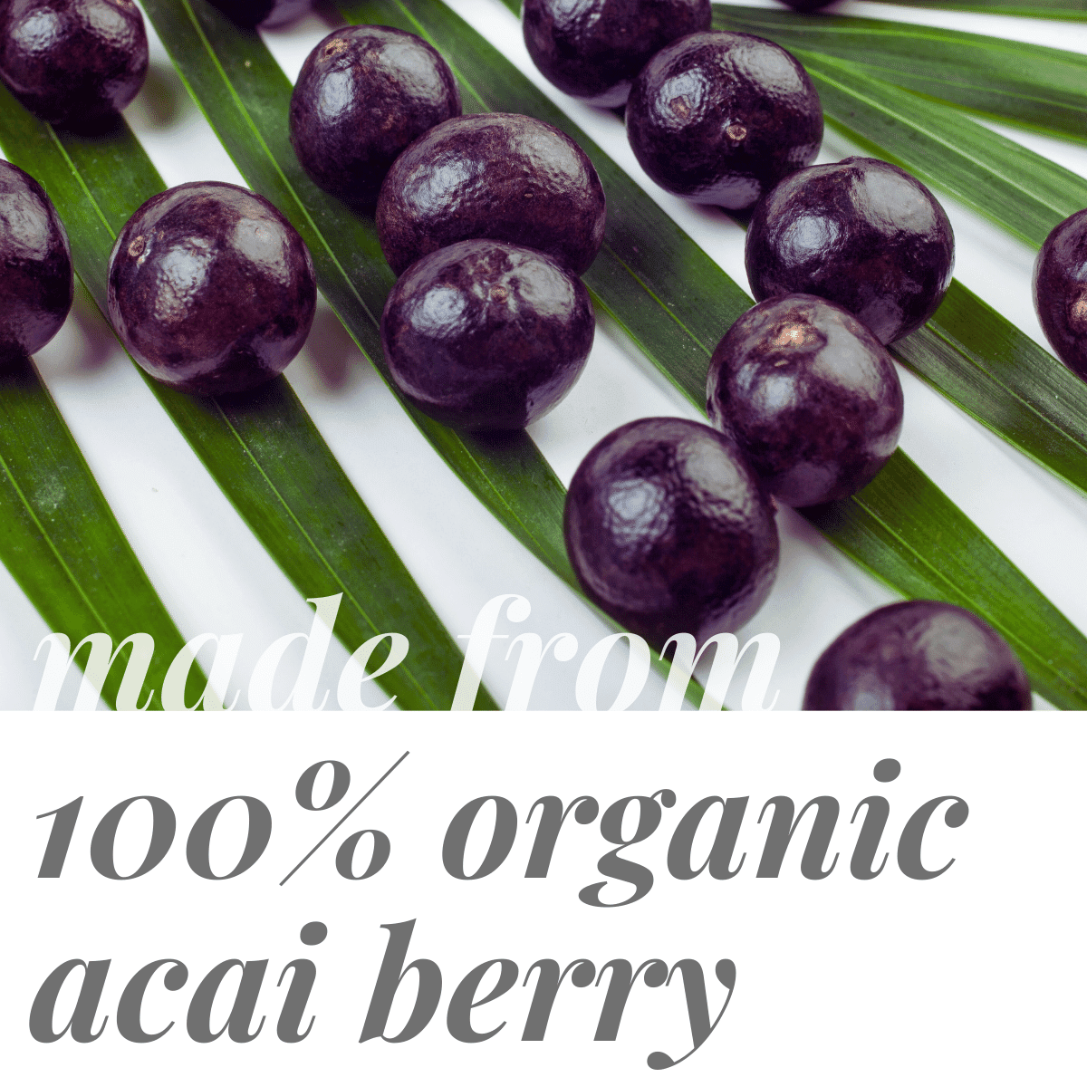 powbab Acai Berry Powder - 100% Organic Acai Berries Unsweetened (7 oz)