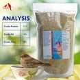 Morning Bird White Proso Millet Seed, Healthy Bird Food, Nutritious