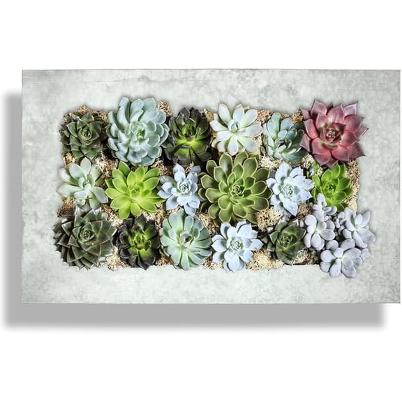 Modern Home Living Wall Galvanized Steel/Zinc Succulent Planter (Aged Zinc, Horizontal 18 Pocket)