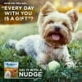thumbnail image 3 of Blue Buffalo Nudges Jerky Cuts Natural Dog Treats, Chicken and Duck, 36oz, 3 of 10