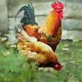 thumbnail image 3 of Pautov, Igor 20x20 Black Modern Framed Museum Art Print Titled - Bird Yard, 3 of 5