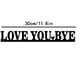 thumbnail image 3 of Letrero metálico "Love You Bye Over Door Frame" | Arte decorativo para puerta | Cálida bienvenida familiar | Fácil instalación | Decoración versátil para el hogar: baño, lavandería, oficina,, 3 of 7