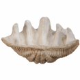 thumbnail image 1 of Benzara BM145582 Medium Clam Shell Accent, White, 1 of 1