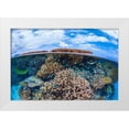thumbnail image 1 of Gabriel, Barathieu 32x23 White Modern Wood Framed Museum Art Print Titled - Split level from Mayotte reef, 1 of 4