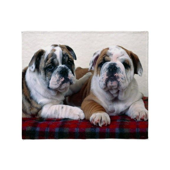 CafePress - Bulldog Puppies Throw Blanket - Soft Fleece Throw Blanket, 50"x60" for All Ages