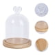 thumbnail image 2 of Exhibidor de flores secas, cubierta de vidrio con flores preservadas, cubierta de vidrio transparente DIY, cúpula de vidrio con forma de corazón amoroso con base de madera, 2 of 7