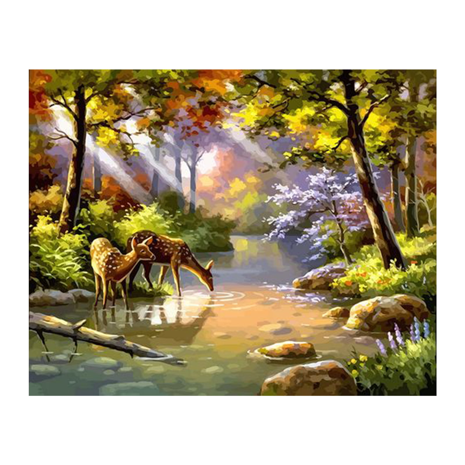 DIY Paint By Number Kit Digital Animal Scenery Oil Painting Artwork Home Decor