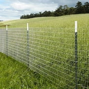 Fencer Wire 14 Gauge Galvanized Welded Wire Mesh Size 2 inch by 4 inch (5 ft. x 50 ft.)