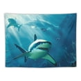 thumbnail image 5 of Orinice Shark Underwater Tapestry Wall Hanging Unique Style Graphic Tapestries for Home Wall Decor 50x40inch, 5 of 6