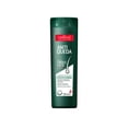 thumbnail image 2 of Capicilin - Linha Antiqueda - Kit Shampoo Cabelos Oleosos e Condicionador Revitalizante (2 x 250 Ml) - (Anti-fall Collection - Set with Oily Hair Shampoo and Revitalizing Conditioner (2 x 8.45 Fl oz)), 2 of 2
