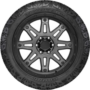 Radar Renegade A/T Pro All Terrain 275/60R20 T XL Light Truck Tire Sansujyuku sansujyuku.com