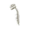 thumbnail image 2 of Conjunto de disfraz de esqueleto de dinosaurio realista, 2 of 5