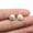 KC Gold, variant on Multicolor 220 Pcs Tibet Silver Shell Charms 13X10MM B10044-Tibet silver-220 PCS
