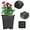 Black, variant on Epotoor 11.81" x 12.13" x 8.27" Square Black Plant Pot (10 Count)