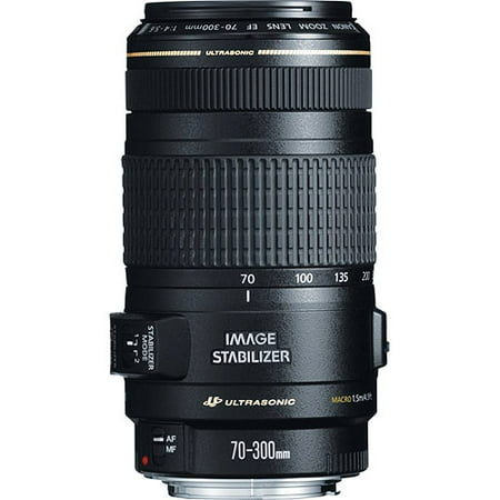 Canon EF 70-300mm f/4-5.6 IS USM Telephoto Zoom Lens (0345B002)