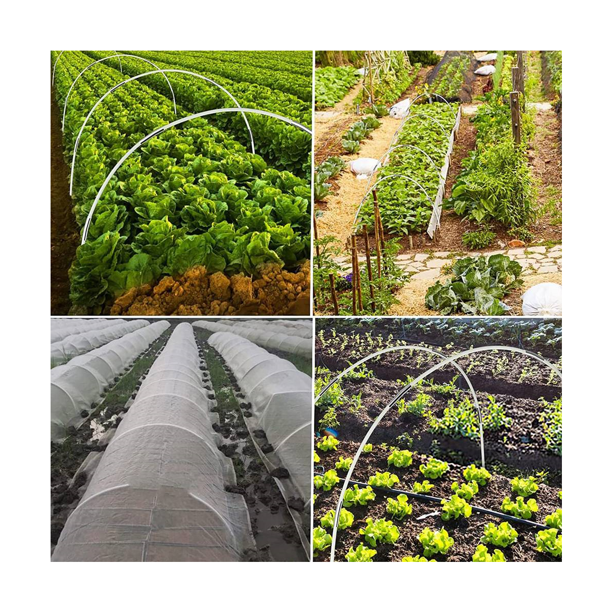 Garden Hoops for Netting, Crop Protection Hoops,Cloches Growing Vegetables,Rust-Free Grow Tunnel
