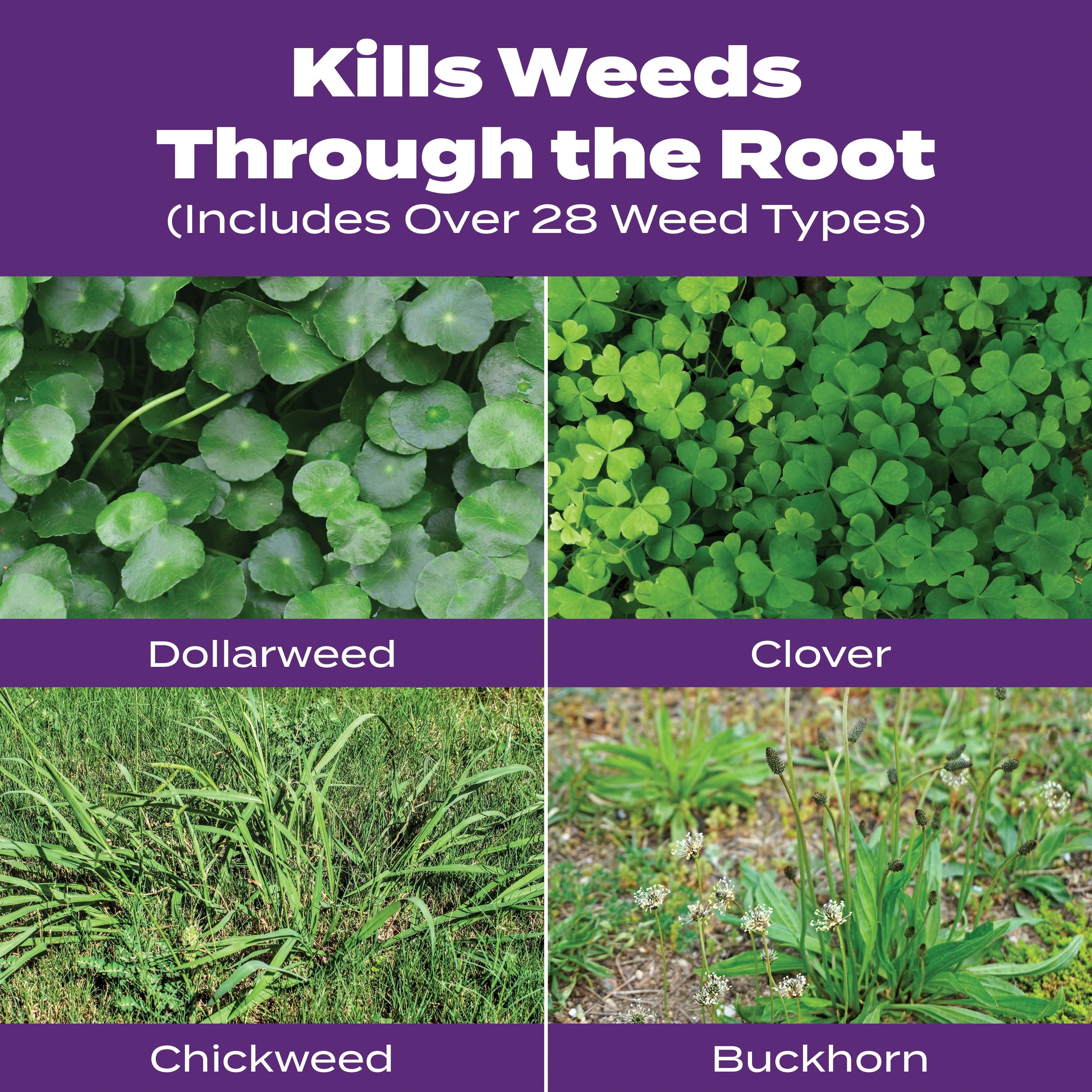 Scotts Turf Builder Bonus S Southern Weed Feed2 17.24 lbs. Walmart