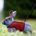 thumbnail image 3 of Campana de arnés para mascotas pequeñas, chaleco acolchado cómodo sin tirones, nailon duradero, juego de correa de arnés para cobayas durante todo el año para conejitos pequeños, hurones, ratas,, 3 of 8