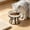 White,A, variant on Elevated Ceramic Cat Bowl With Metal Stand Anti Tip Pet Food Water Bowl Cute Pattern Raised Feeding Dish For Small Medium Cats Dogs Prevent Neck Strain Indoor Pet Feeder