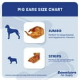 thumbnail image 3 of Downtown Pet Supply Pig Ears for Dogs, Long Lasting Pig Ear Strips 1Lb, 3 of 9