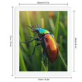 thumbnail image 2 of Paint By Numbers Kit for Adults Beginner - Colorful Beetle On Green Grass DIY Canvas Painting Kits for Adults, Frameless Paint By Number for Adults for Home Wall Decor 16x20 Inch, 2 of 7