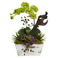 thumbnail image 3 of Orchid  Succulent Garden with White Wash Planter, 3 of 5