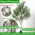 Faux Olive Tree Fake Olive Tree Olive Trees ficial Indoor 7 Feet (84