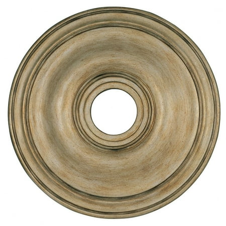Livex Lighting - Accessory - 20 Inch Ceiling Medallion-Antique Silver Leaf