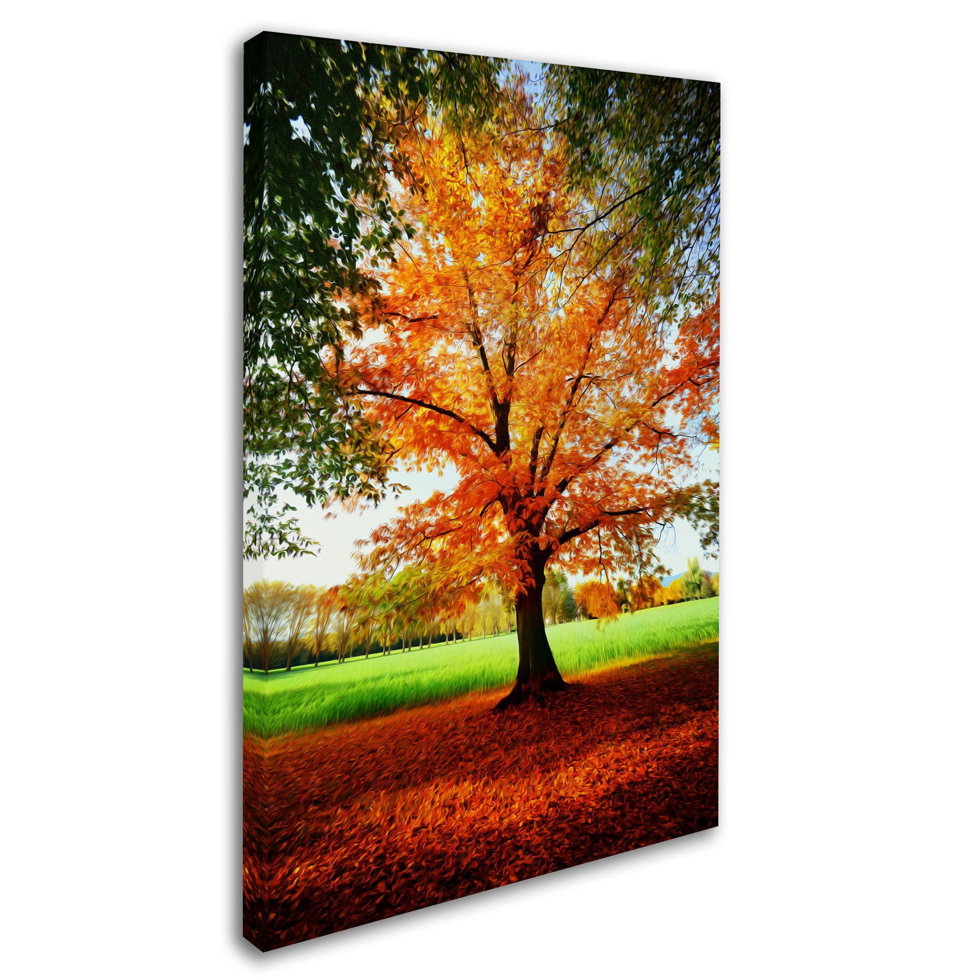 Trademark Fine Art "Tout Feu Tout Flamme" Canvas Art by Philippe Sainte-Laudy
