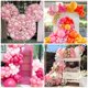 thumbnail image 5 of Globos RUBFAC Pink 129 unidades de color rosa pastel de diferentes tamaños, 5 of 6