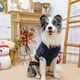 thumbnail image 2 of Suéter para perro PUPTECK, abrigo de punto cálido navideño, tamaño mediano, 2 of 9