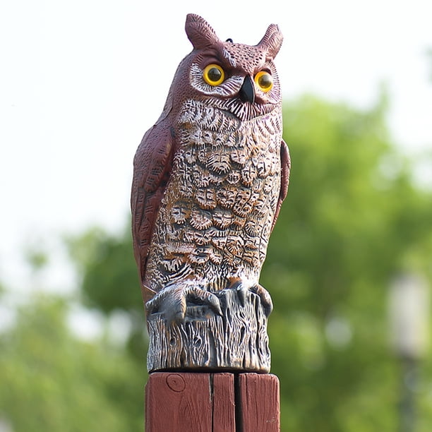 Owl Decoy, Owls, Outdoor Owl Statue, Garden crows, Garden Decoy